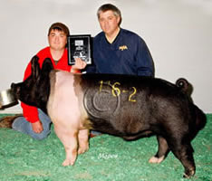 Hamp Winners
